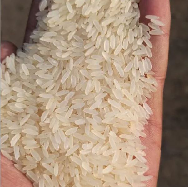 Hard Organic Boiled Rice, for Human Consumption, Variety : Medium