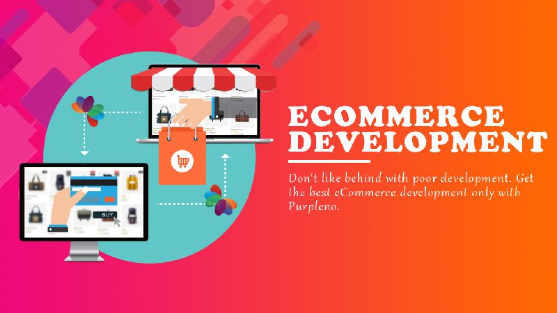 E-Commerce Pro-Website Development Services