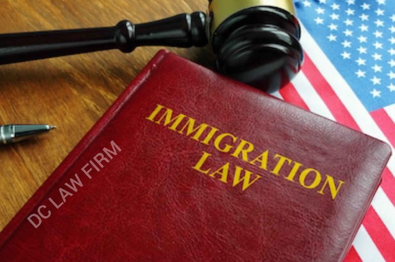 Immigration Lawyer