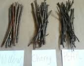Acacia Chew Sticks