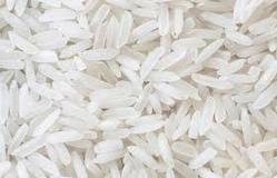 Hard Organic basmati rice, for Human Consumption, Variety : Long Grain