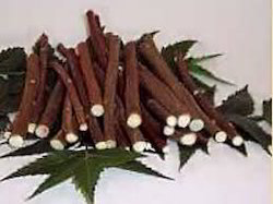 Neem Chew Sticks