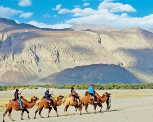 Venture Ladakh Tour Package