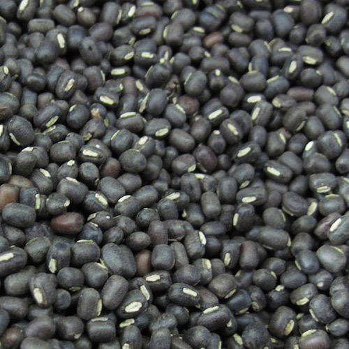 Organic Black Gram, for Cooking, Style : Dried