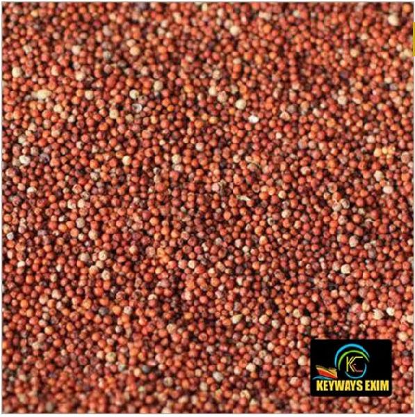Organic Finger Millet Seeds, for Cattle Feed, Cooking, Style : Dried