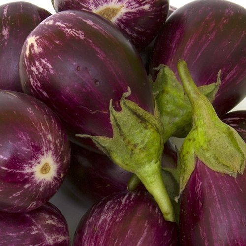 Fresh Brinjal