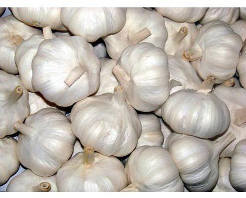 Organic fresh garlic, for Cooking, Snacks, Packaging Type : Gunny Bags, Plastic Bags