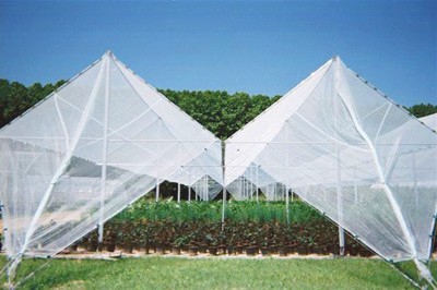 Anti Hail Net, for Insect Protection