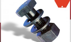 Hex Head Bolt, for Corrosion Resistant