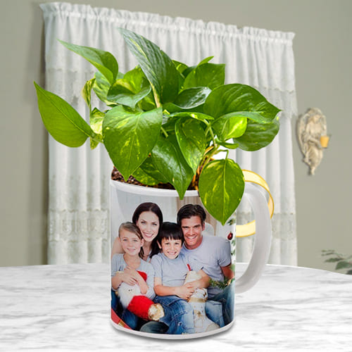 Elegant Selection of Money Plant in a Personalized Coffee Mug