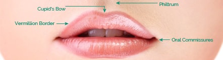 Perfect Lip Treatment Services