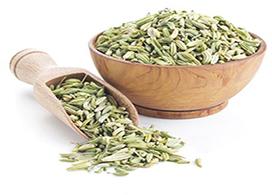 Arjun Spices Fennel Seeds