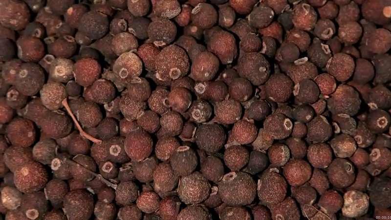 Allspice Seeds