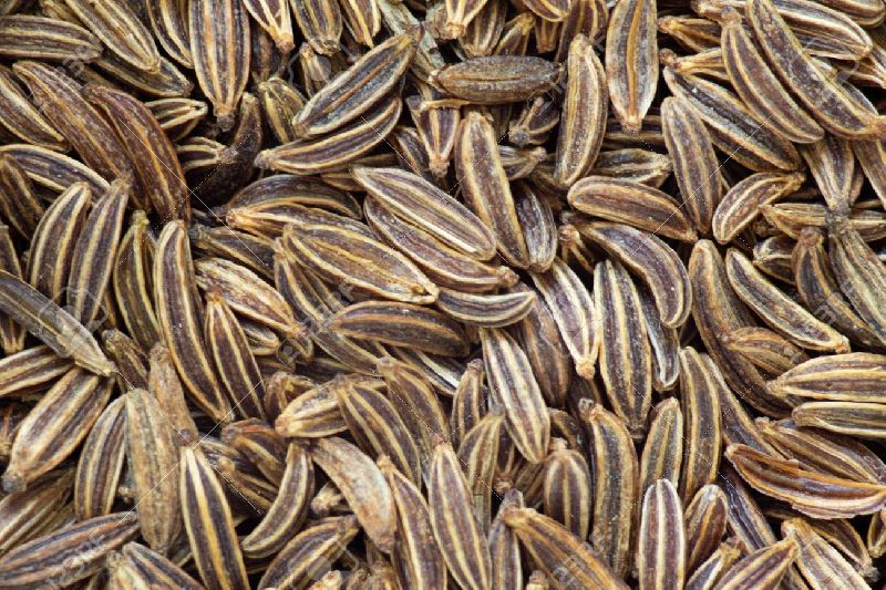 Organic Caraway Seeds, Packaging Type : Plastic Bag