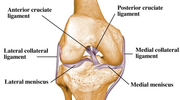 acl reconstruction surgery