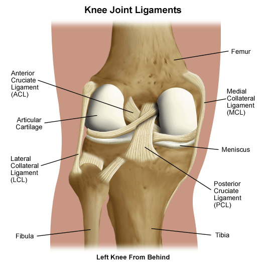 Ligaments Reconstruction Surgery