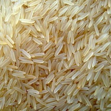 Organic 1509 Basmati Rice, Packaging Type : 10kg, 20kg