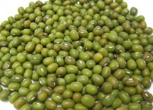 green mung beans