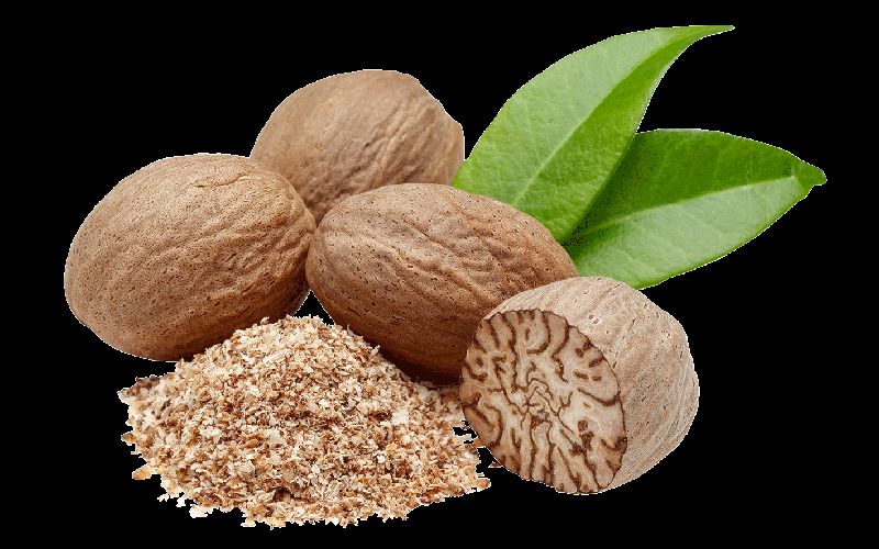 NUTMEG at best price in KALPAKKAM Tamil Nadu from SAINT GLOBAL TRADING ID5355701