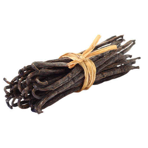 VANILLA BEANS at Best Price in KALPAKKAM | SAINT GLOBAL TRADING