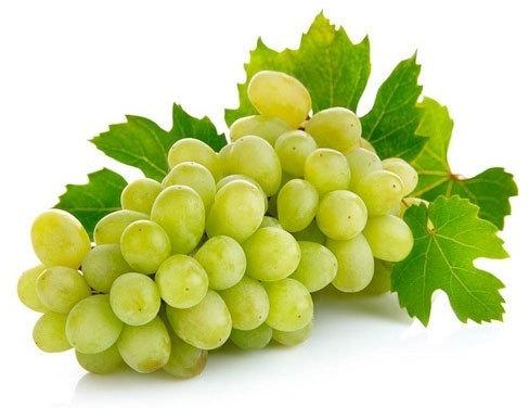 Organic fresh green grapes, Packaging Type : Net Bag