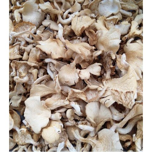 Dried  Mushroom Frozen Boletus Russula Virescens Boletus Mushrooms