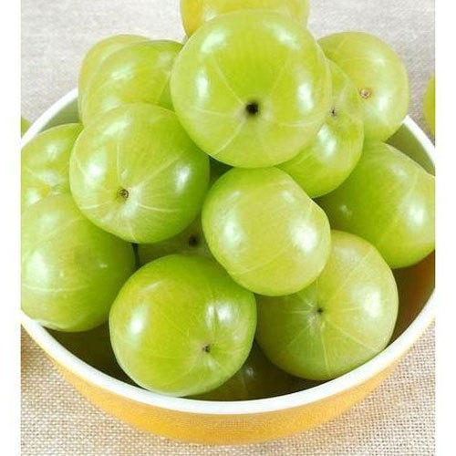 Organic Fresh Amla, Shelf Life : 15-20days