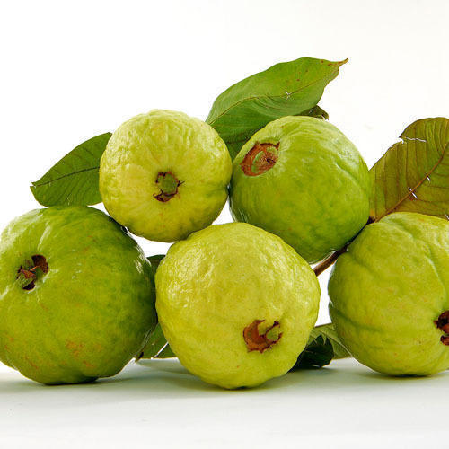 Fresh Guava, Color : Green