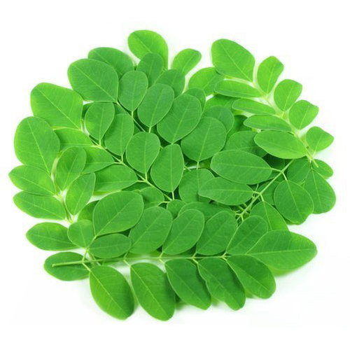 Organic Fresh Moringa Leaves, Color : Green