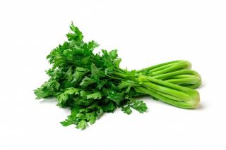 Organic Celery Leaves, Feature : Full With Iron, Good For Health, High In Vitamin D, Nutritious, Protein