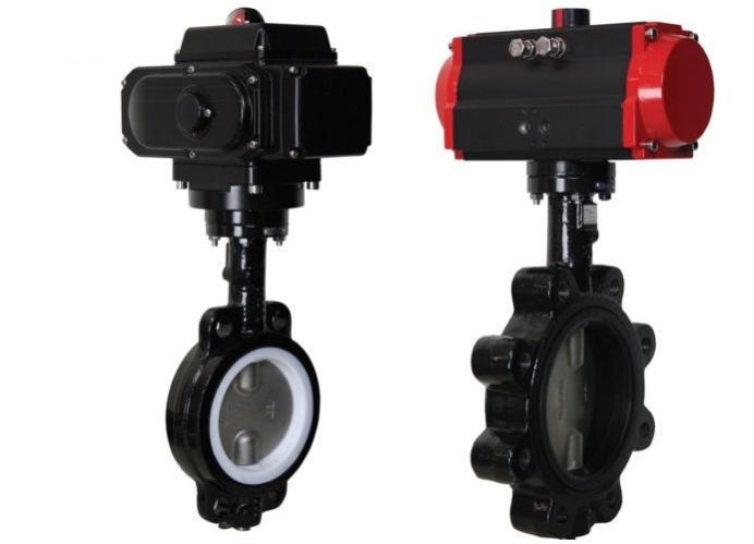 Series WE20 Butterfly Valve