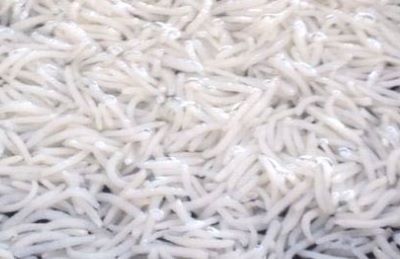 Hard Steam Basmati Rice, Color : Creamy White