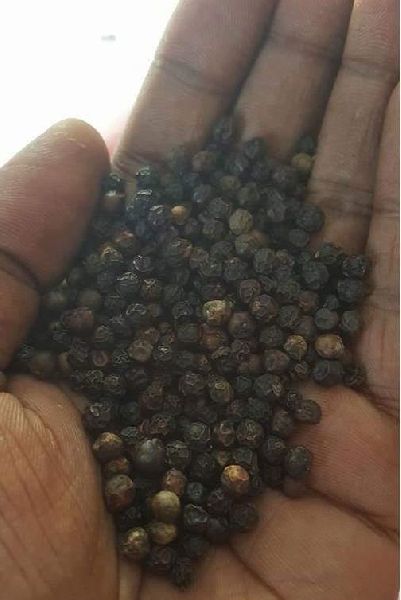 Natural black pepper, Packaging Size : 25kg