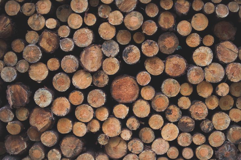 Timber Logs