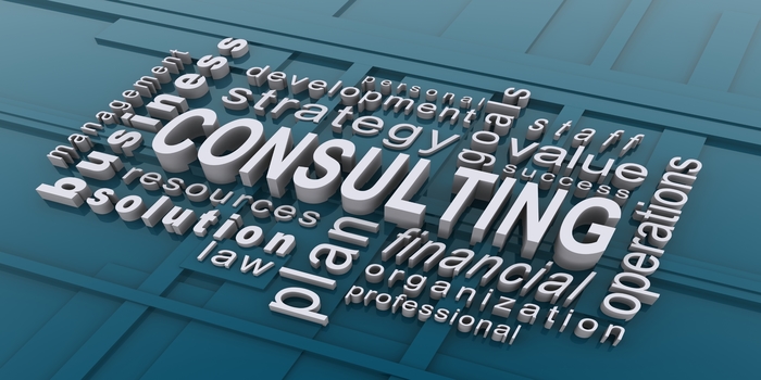 Software Development Projects Consulting Services