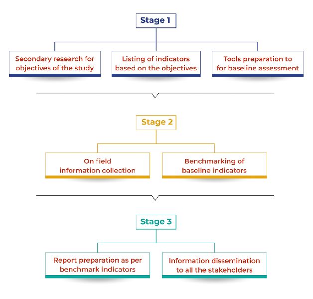 Baseline Assessment