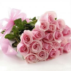 Pink Roses, Packaging Type : Plastic or polythene Bag