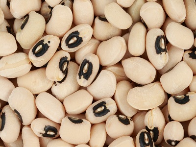 Black Eyed Beans, Shelf Life : 1Years, 6Months