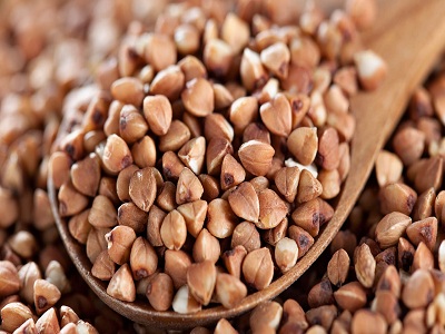 Organic Buckwheat Seeds, Shelf Life : 9months