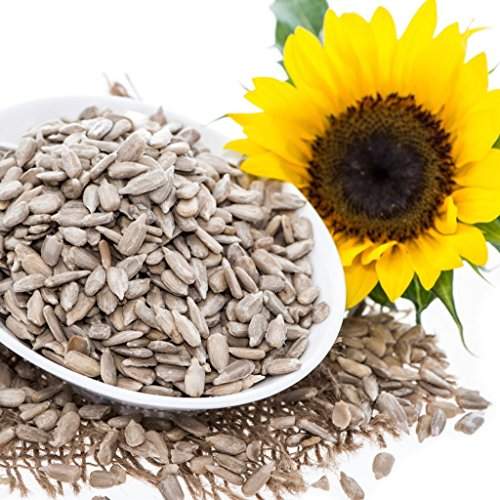 Common sunflower seeds, for Agriculture, Cooking, Food, Medicinal, Style : Dried, Natural, Raw