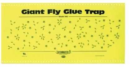 insect glue trap