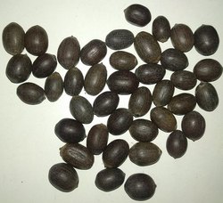 Natural Kamal Gatta Seeds, Packaging Size : 40 - 50 Kg