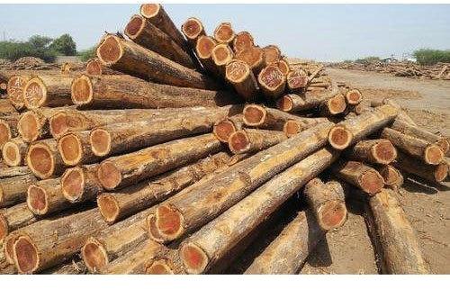 Round Pine Wood Logs, for stairs, furniture, vehicle or container flooring