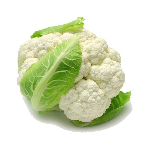 Organic Fresh Cauliflower, Packaging Type : Packed In Jute Sack