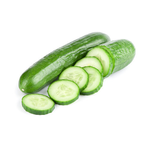 Organic Fresh Cucumber,fresh cucumber