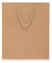 Rectangular Plain Brown Paper Bag