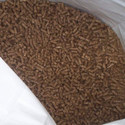 Horse Cattle Feed, Color : Light Yellow, Yellow