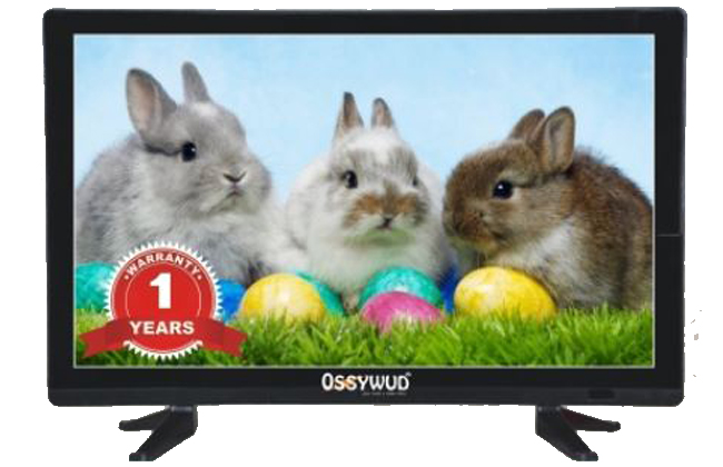 Ossywud OS24HD2490 24 Inch LED TV