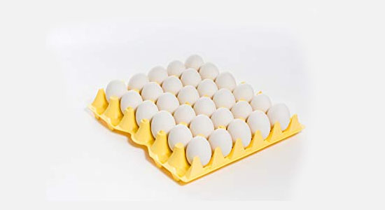 Fresh Eggs, Packaging Type : Tray