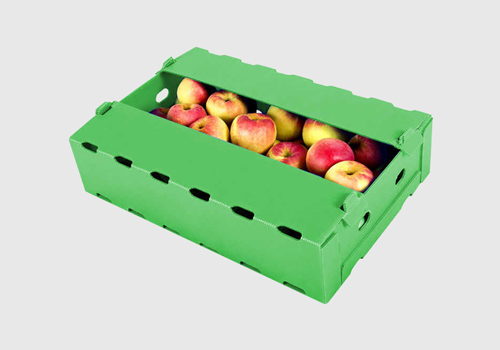 Rectangle Polypropylene PP Food Box, for Industrial Use, Feature : Attractive Packaging